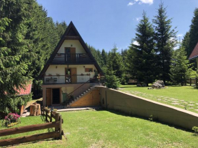 Family friendly house with a parking space Sunger, Gorski kotar - 17578
